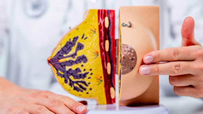 Conscience du cancer du sein en octobre : ruban rose et symboles doux pour soutenir la prévention et le dépistage précoce du cancer du sein.